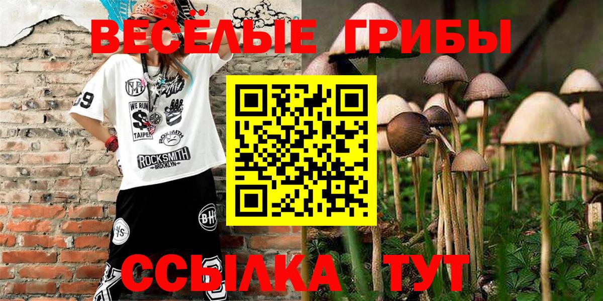 Псилоцибиновые грибы мухоморы Заинск